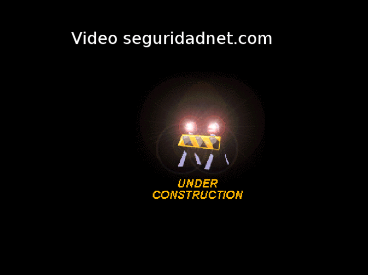 www.videoseguridadnet.com