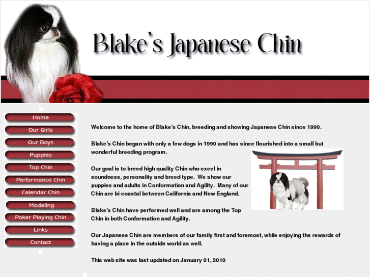 www.blakesjapanesechin.com