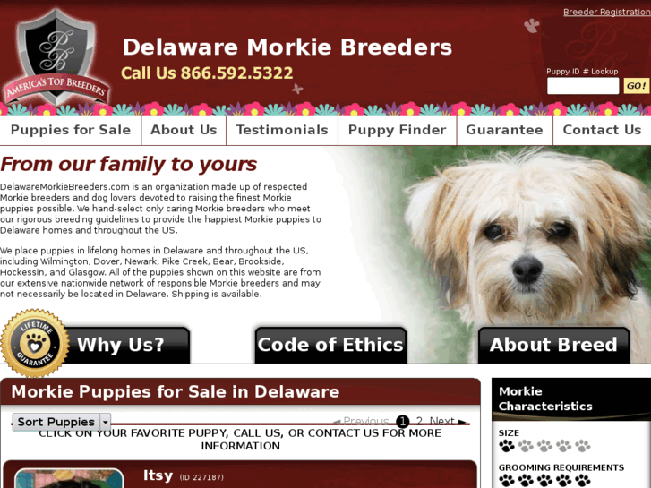 www.delawaremorkiebreeders.com