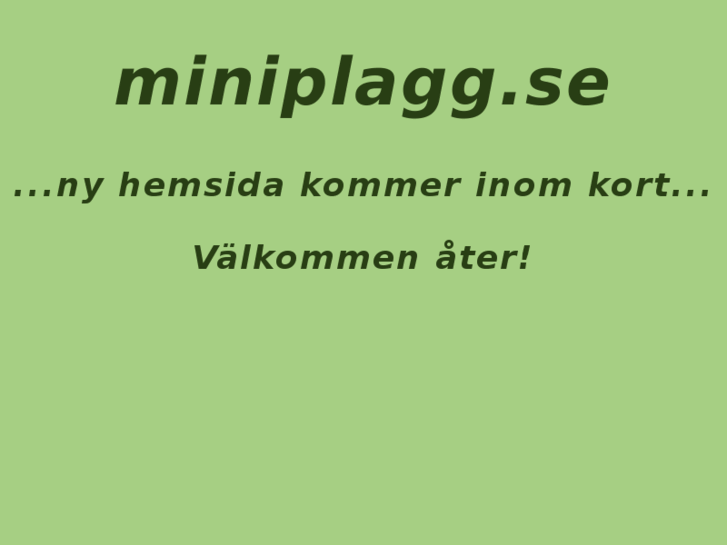 www.miniplagg.com