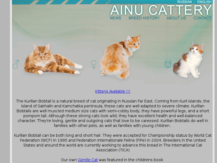 www.ainucattery.com