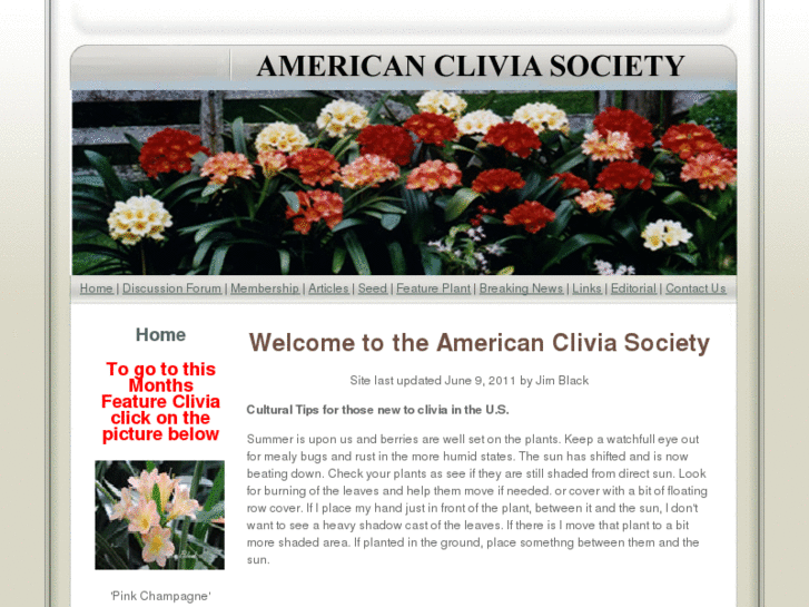 www.americancliviaclub.org