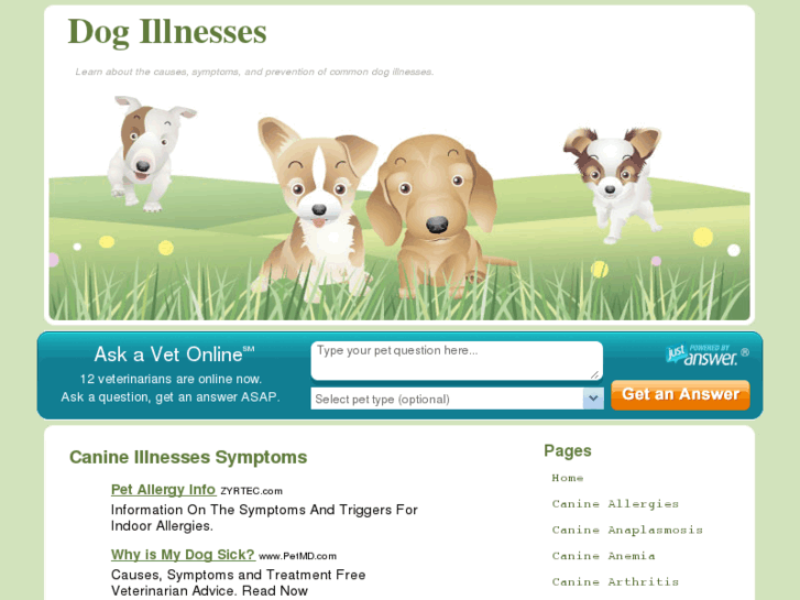 www.dog-illnesses.com