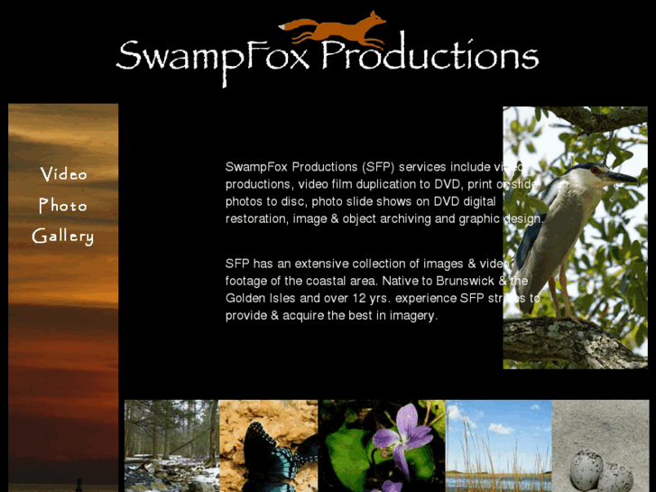 www.swampfoxproductions.com