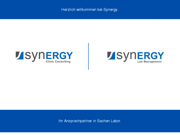 www.synergy-cc.com