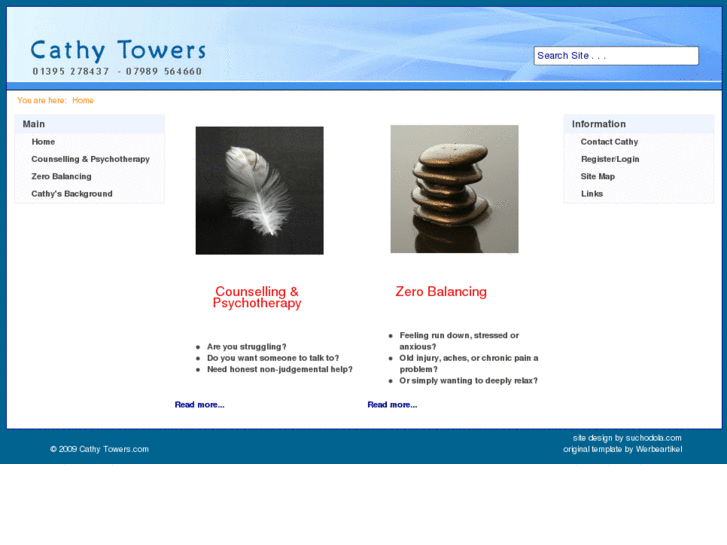 www.cathytowers.com