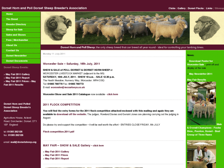 www.dorsetsheep.org