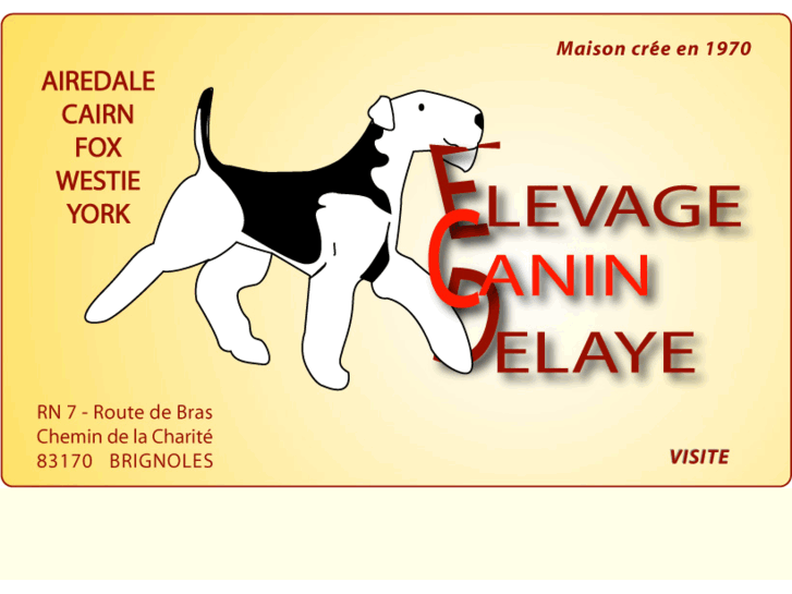 www.elevage-canin-delaye.com