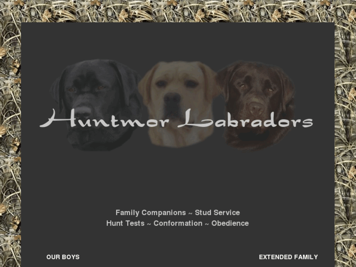 www.huntmorlabradors.com