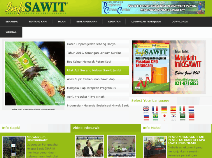 www.infosawit.com