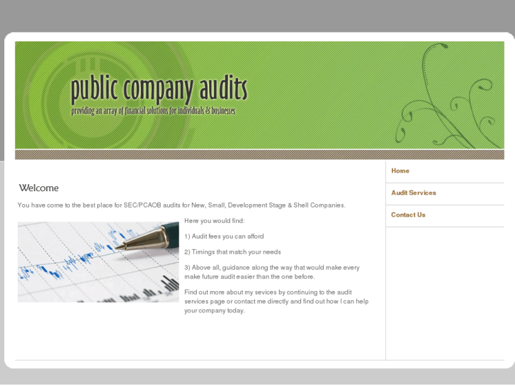 www.publiccompanyaudits.com