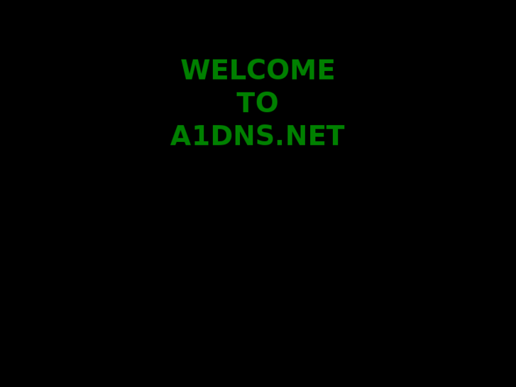 www.a1dns.net