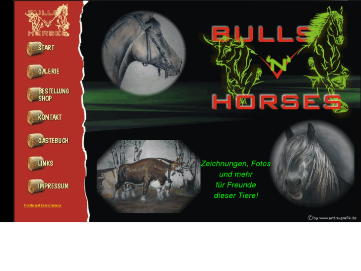 www.bulls-and-horses.com