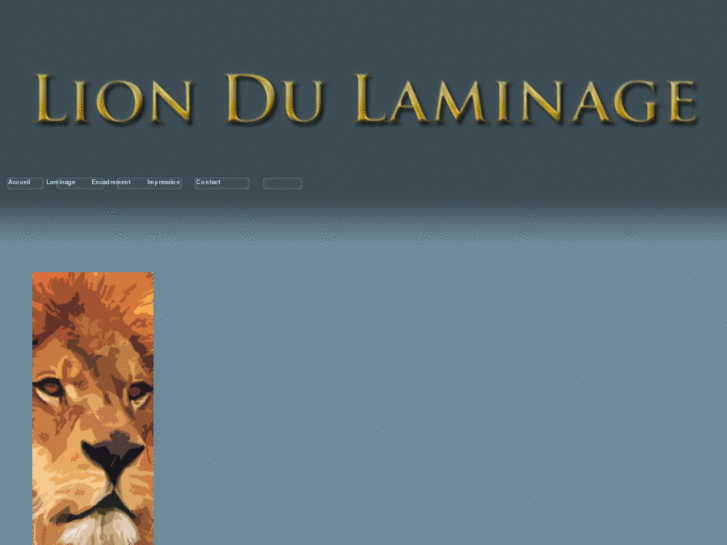 www.leliondulaminage.com