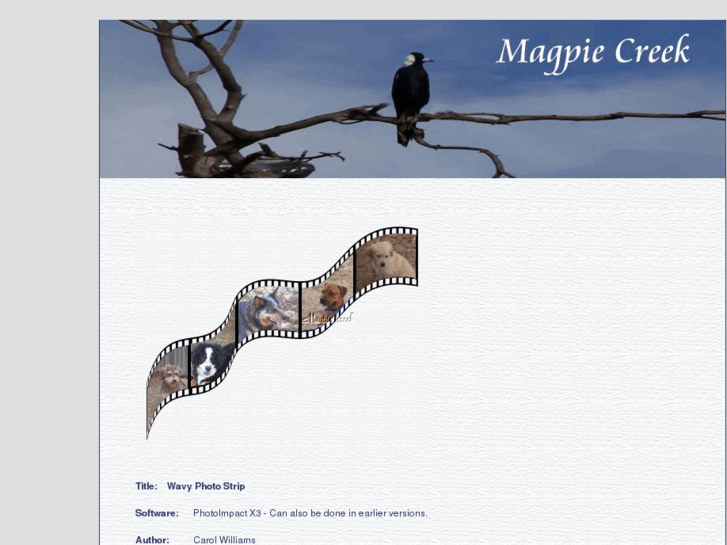 www.magpiecreek.com