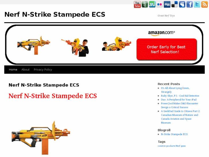 www.nerf-n-strike-stampede-ecs.com