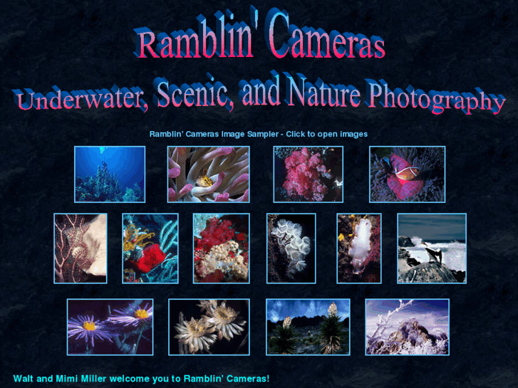 www.ramblincameras.com