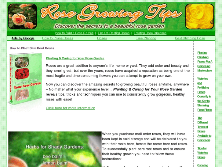 www.rose-growing-tips.com