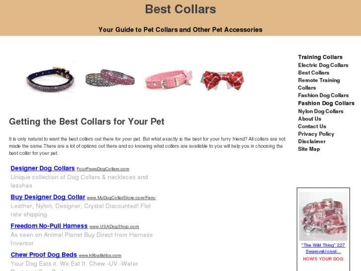 www.bestcollars.com