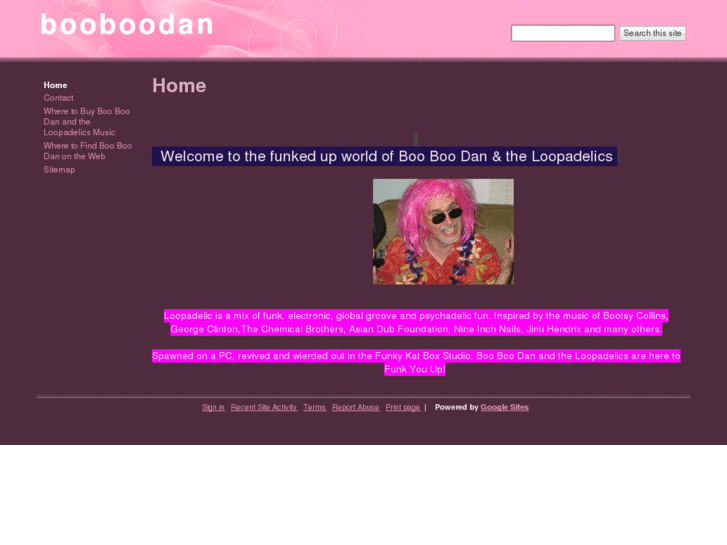 www.booboodanandtheloopadelics.com