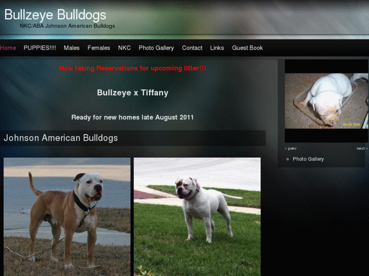 www.bullzeyebulldogs.com