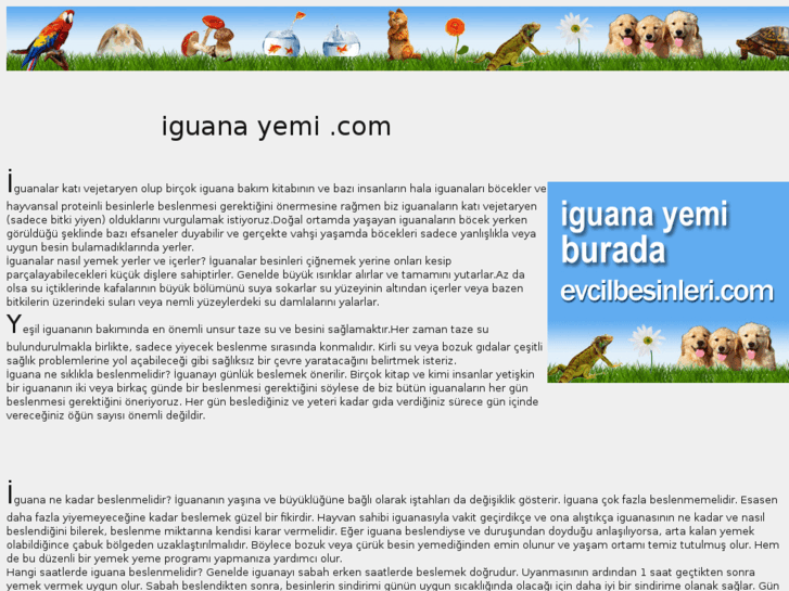 www.iguanayemi.com