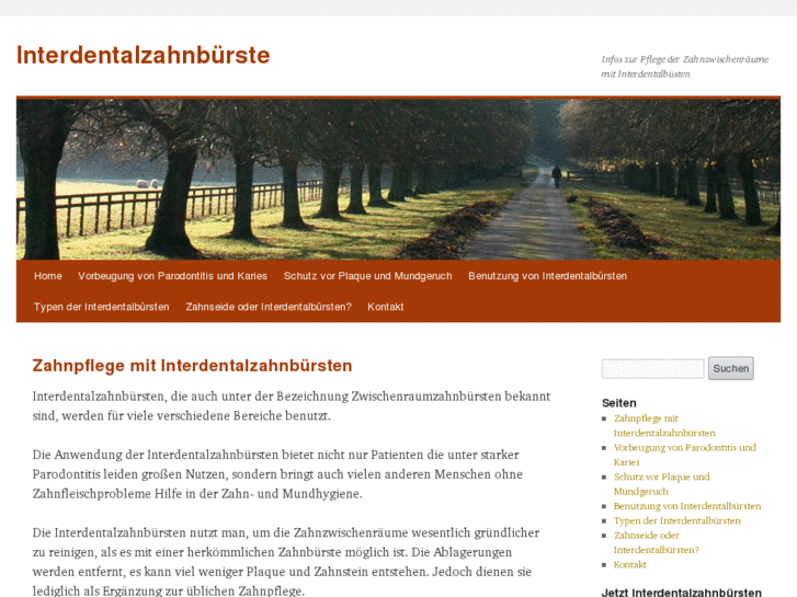 www.interdentalzahnbuerste.com