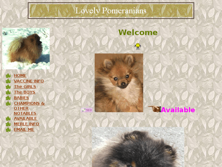 www.lovelypomeranians.com