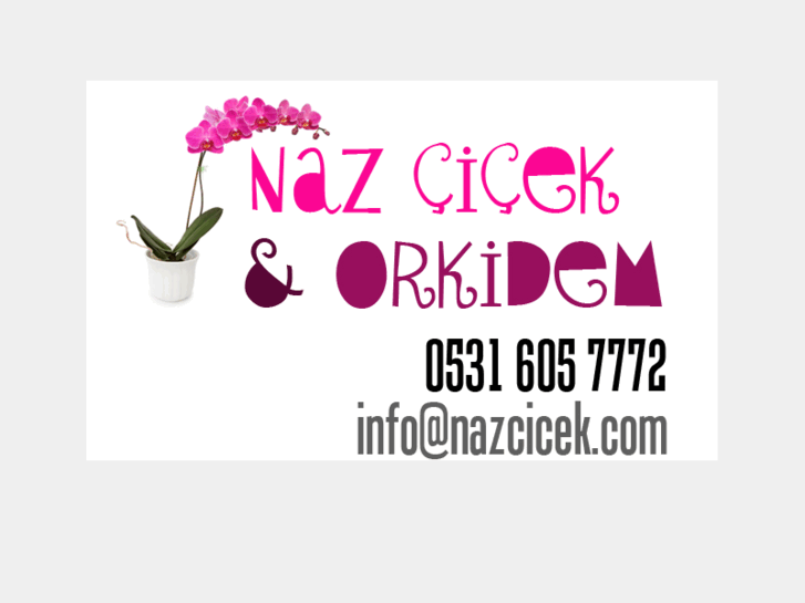 www.nazcicek.com