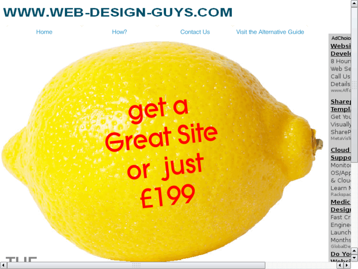 www.web-design-guys.com