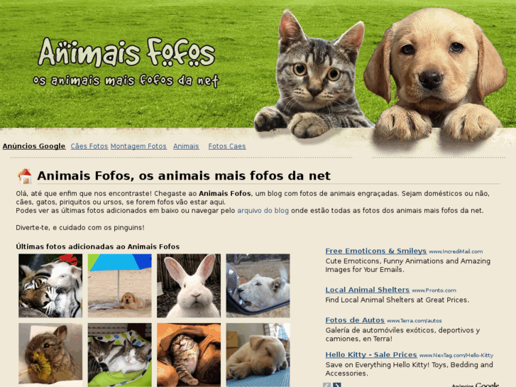 www.animaisfofos.com