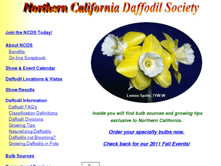 www.daffodil.org