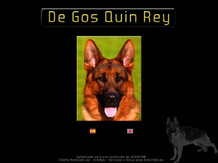 www.degosquinrey.com