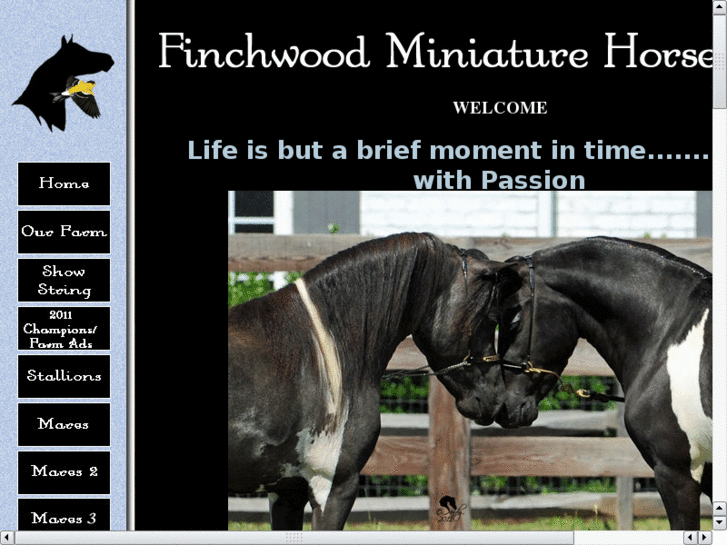 www.finchwoodminiatures.com