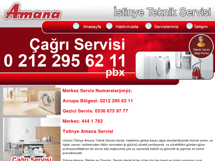 www.istinyeamanaservisi.com