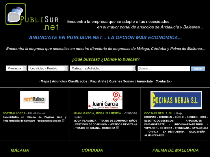 www.publisur.net
