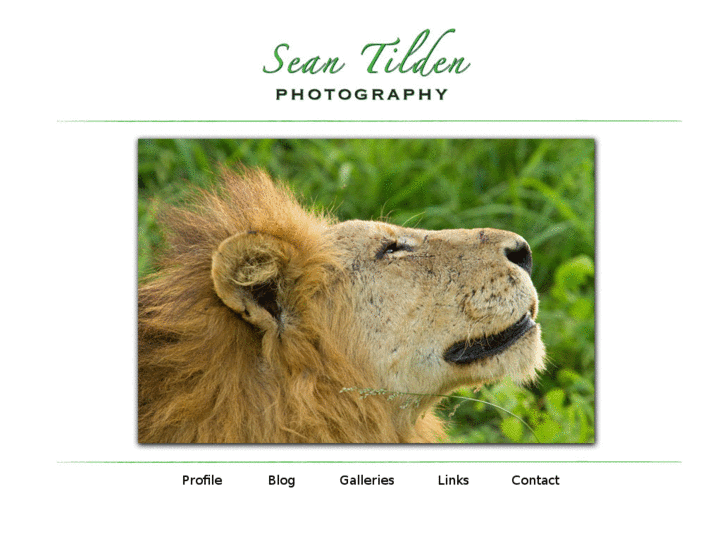 www.seantilden.com