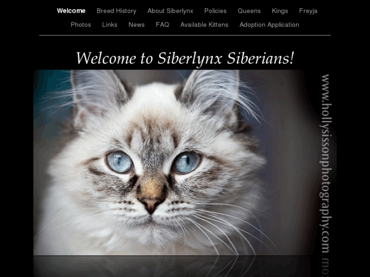 www.siberlynx.ca