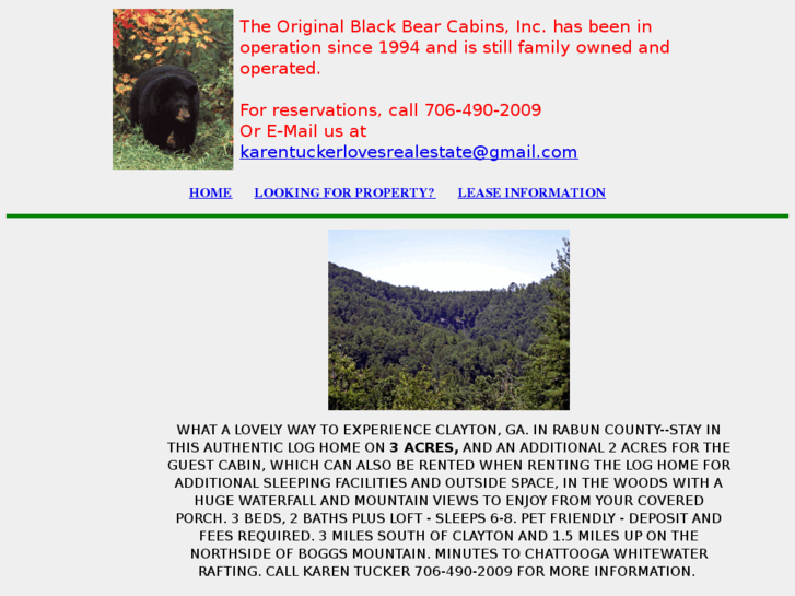 www.blackbearcabinsinc.com