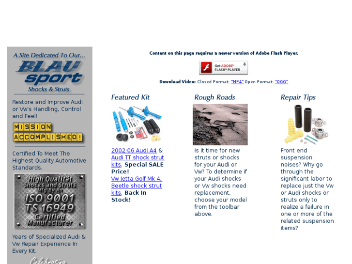 www.blausportshocksstruts.com