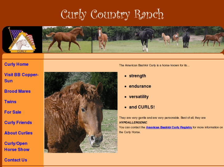 www.curlycountry.com