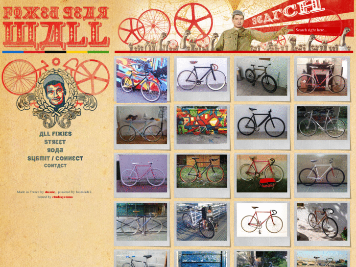 www.fixedgearwall.com