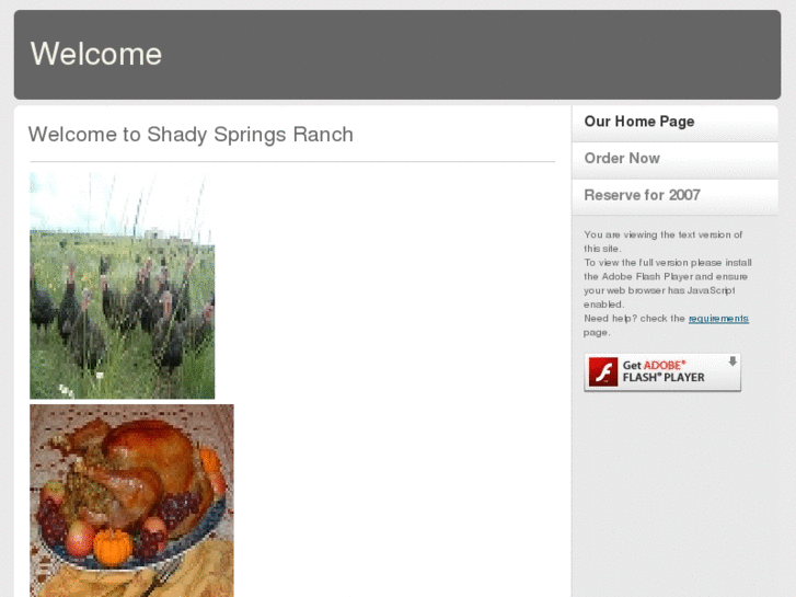 www.shadyspringsranch.com