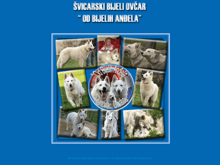 www.svicarski-ovcar.com