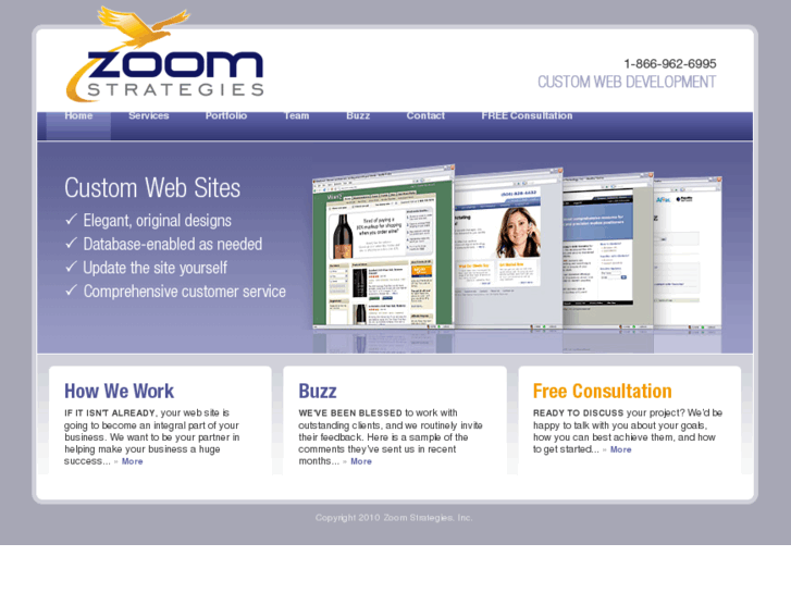 www.zoomstrategies.com