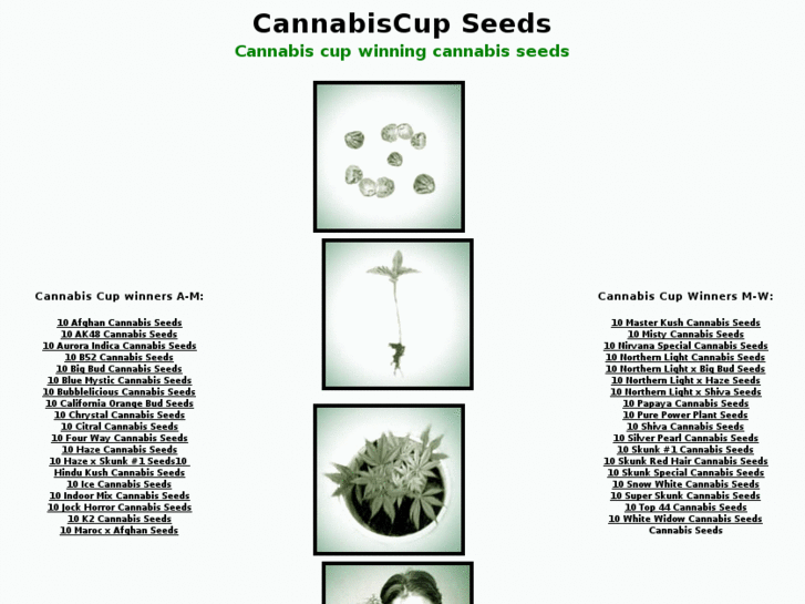 www.cupcannabisseeds.com