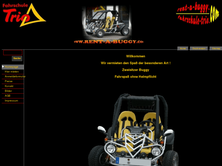 www.rent-a-buggy.com