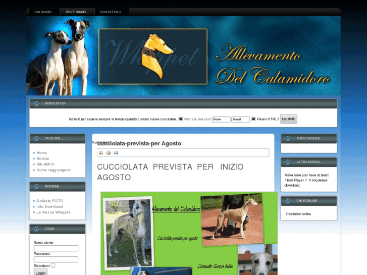 www.whippet-delcalamidoro.com