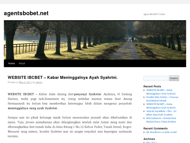 www.agentsbobet.net