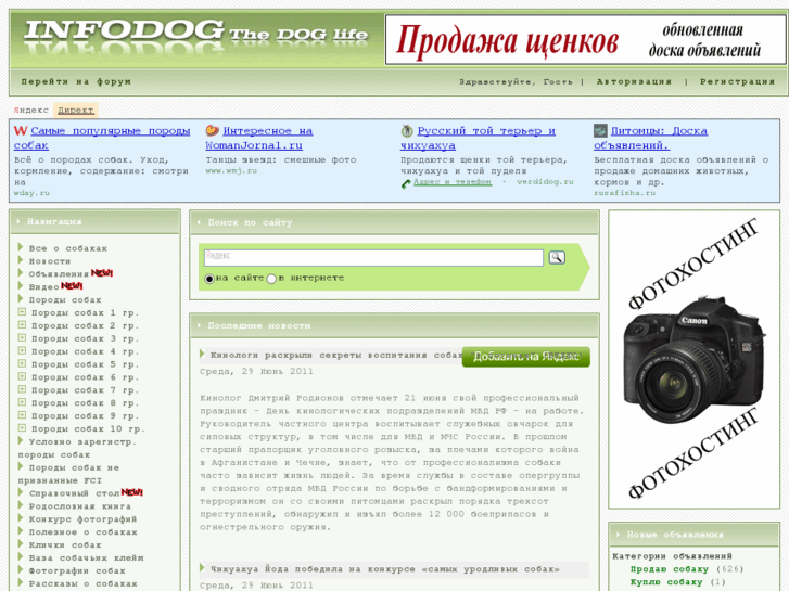 www.infodog.ru